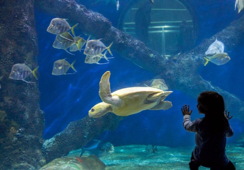 Virginia-Beach-Aquarium
